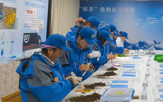 專業(yè)的生產(chǎn)管理團隊